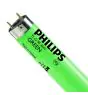 Philips MASTER TL-D 36W - Groen | 120cm